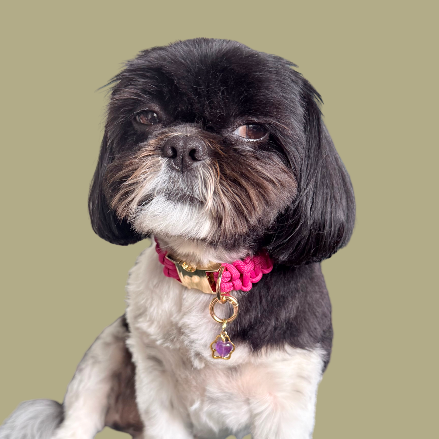 Amethyst Heart and Gold Paw Print Crystal Dog Collar Charm