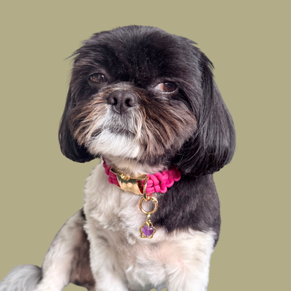 Amethyst Heart and Gold Paw Print Crystal Dog Collar Charm