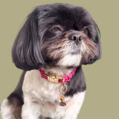 Set of two ‘best friends’ matching dog collar charm and keyring. With enamel rainbow gold plated charms, on secure carabiner style O-rings, for easy use. Picture shows Bonnie wearing the ‘Friends’ charm.