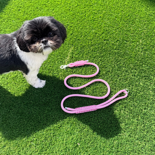 Custom made ‘Lavender Pink’ nylon braided rope dog lead