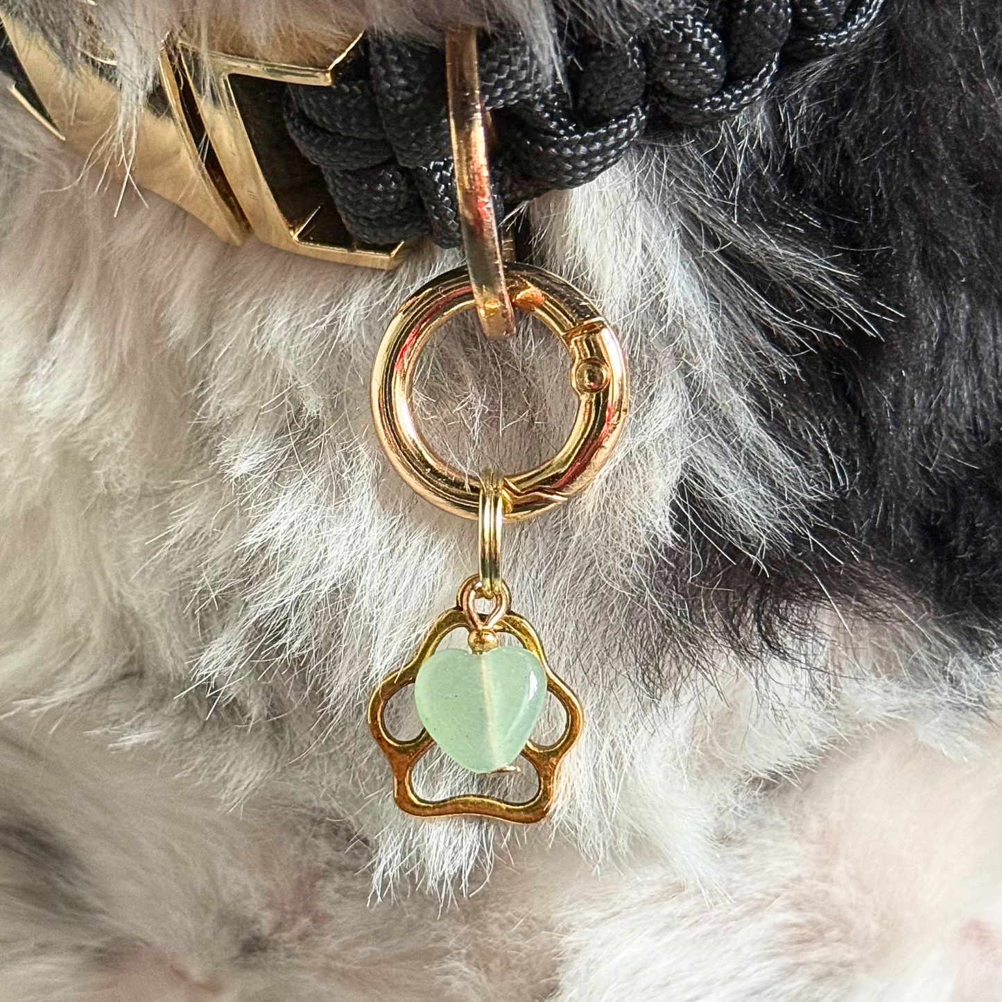 Crystal for dogs pet collar charm featuring a 10mm green aventurine heart shaped bead and a brass gold coloured paw print tag. A stone for comfort, healing and optimism. Pictured close up.