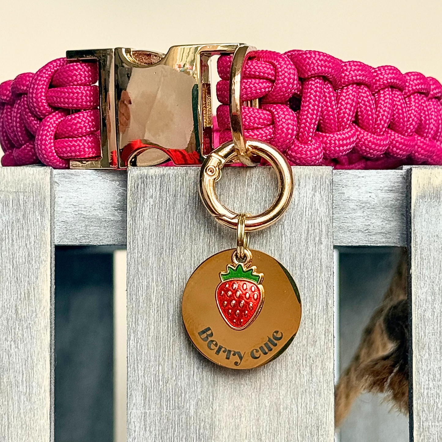 Gold red strawberry dog collar ID tag, Enamel fruit charm with dog name and address details. easily clips onto collar or harness. Attached to a pink paracord dog collar.