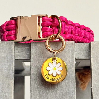 Gold white daisy flower dog collar ID tag, Enamel floral charm with the words ‘I’m chipped’ and address details. easily clips onto collar or harness. Pictured attached to a pink paracord dog collar.