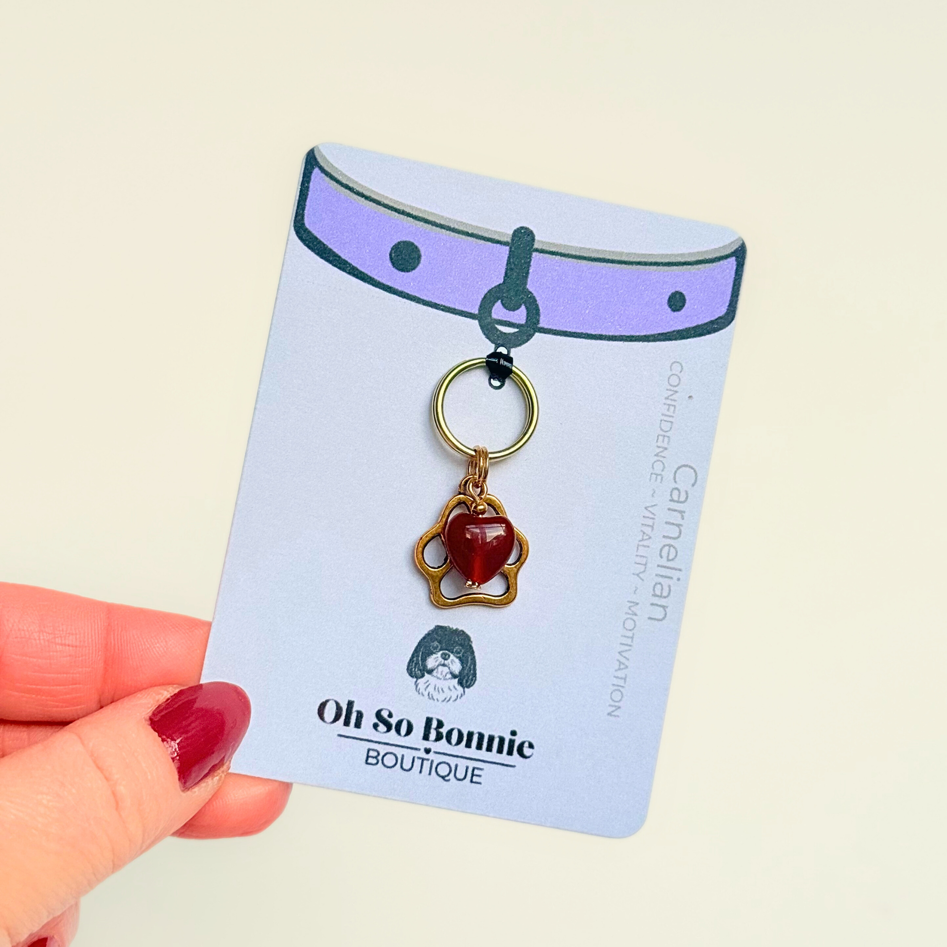 Crystal for dogs pet collar charm featuring a 10mm red carnelian heart shaped bead and a brass gold coloured paw print tag. A stone for confidence, vitality and motivation. Pictured on the display card.