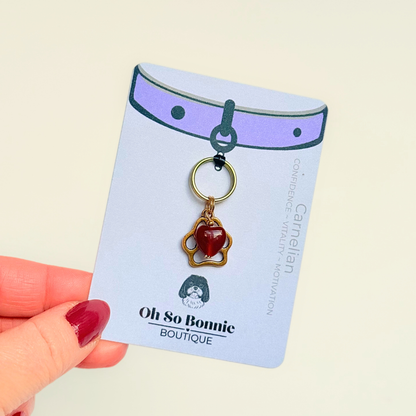 Crystal for dogs pet collar charm featuring a 10mm red carnelian heart shaped bead and a brass gold coloured paw print tag. A stone for confidence, vitality and motivation. Pictured on the display card.
