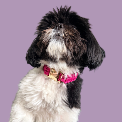 ‘Fuschia Pink’ custom made braided Paracord dog collar with metal buckle