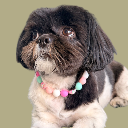 Silicone beaded dog necklace made with 15mm round beads in pink, green, white and a floral flowers print. On a strong, elastic stretch cord. Pictured being worn by Bonnie.