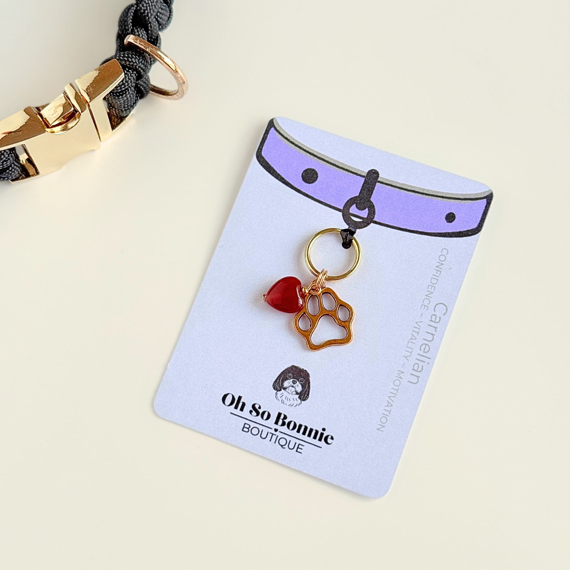 Crystal for dogs pet collar charm featuring a 10mm red carnelian heart shaped bead and a brass gold coloured paw print tag. A stone for confidence, vitality and motivation. Pictured n the display card, next to a black paracord dog collar.