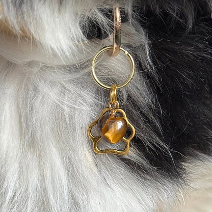 Crystal for dogs pet collar charm featuring a 10mm tigers eye heart shaped bead and a brass gold coloured paw print tag. Close up picture of Bonnie wearing it.