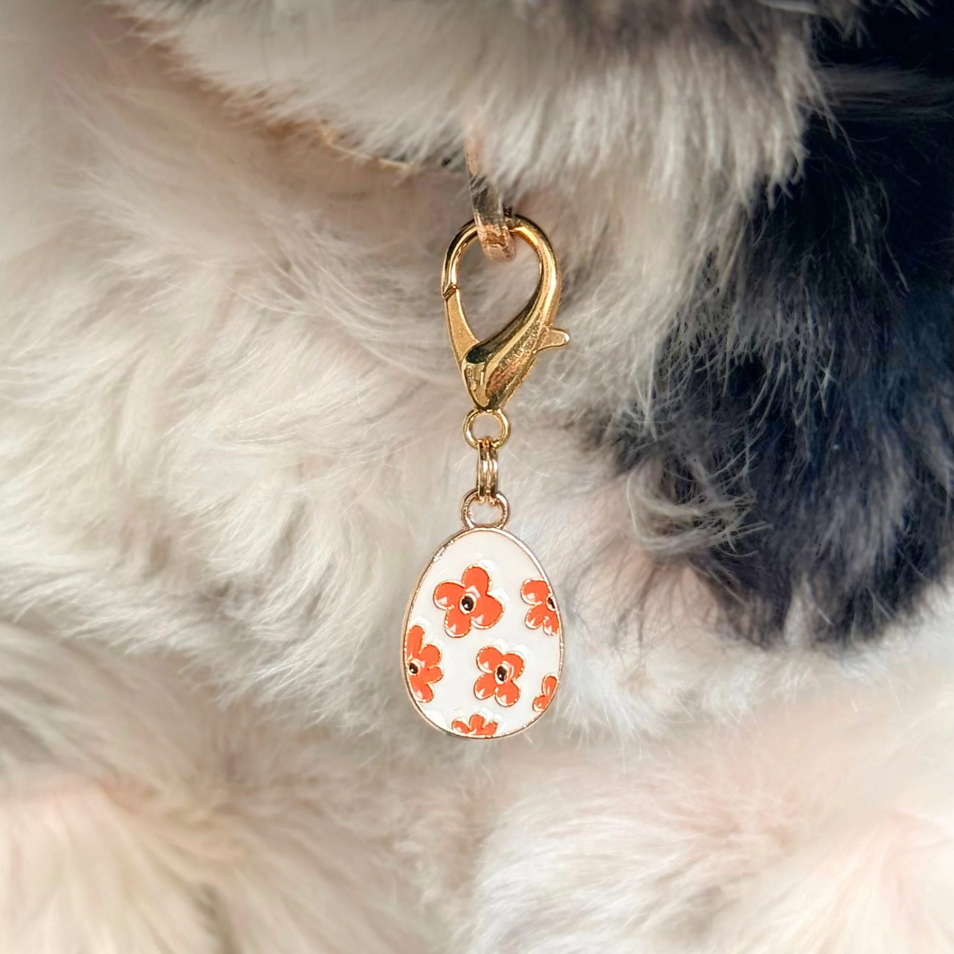 White with red flowers Easter egg enamel dog collar charm that easily attaches to collars and harnesses with a gold plated lobster clasp. Close-up picture of it being worn by Bonnie.￼