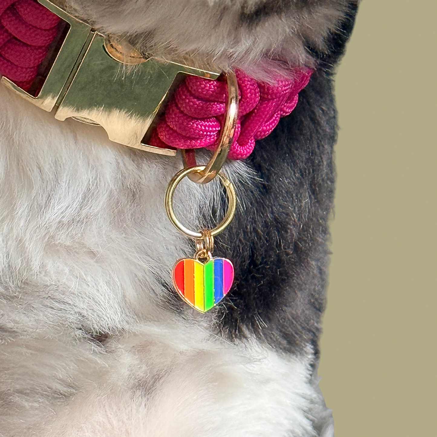 Rainbow Heart Shaped Enamel Dog Collar Charm