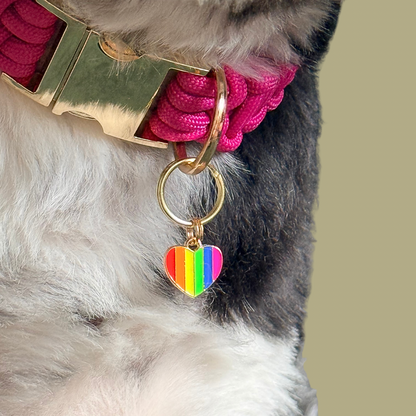 Rainbow Heart Shaped Enamel Dog Collar Charm