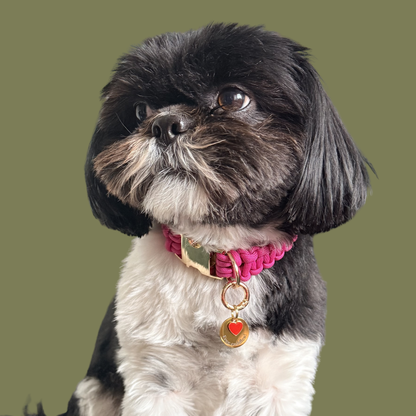 ‘Free Cuddles’ Red Enamel Heart Gold Dog Collar Charm & Engraved ID Tag