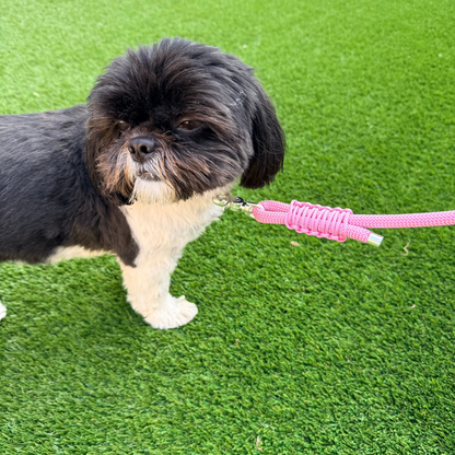 Custom made ‘Lavender Pink’ nylon braided rope dog lead