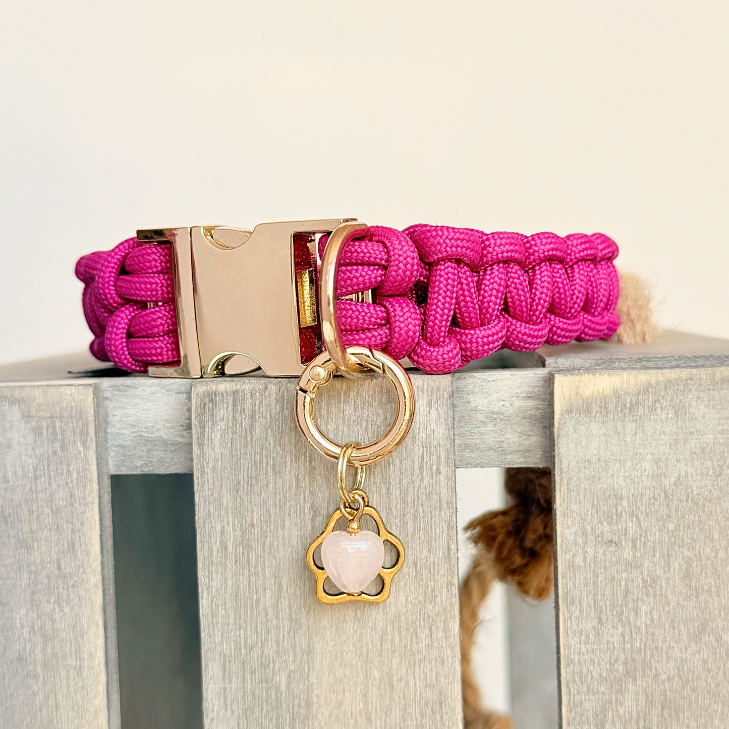 Crystal for dogs pet collar charm featuring a 10mm rose quartz heart shaped bead and a brass gold coloured paw print tag. A stone for love, calm and comfort. Pictured attached to a pink dog collar.