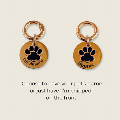Black and Gold Paw Print Dog Collar Charm & ID Tag With Name or ‘I’m Chipped’