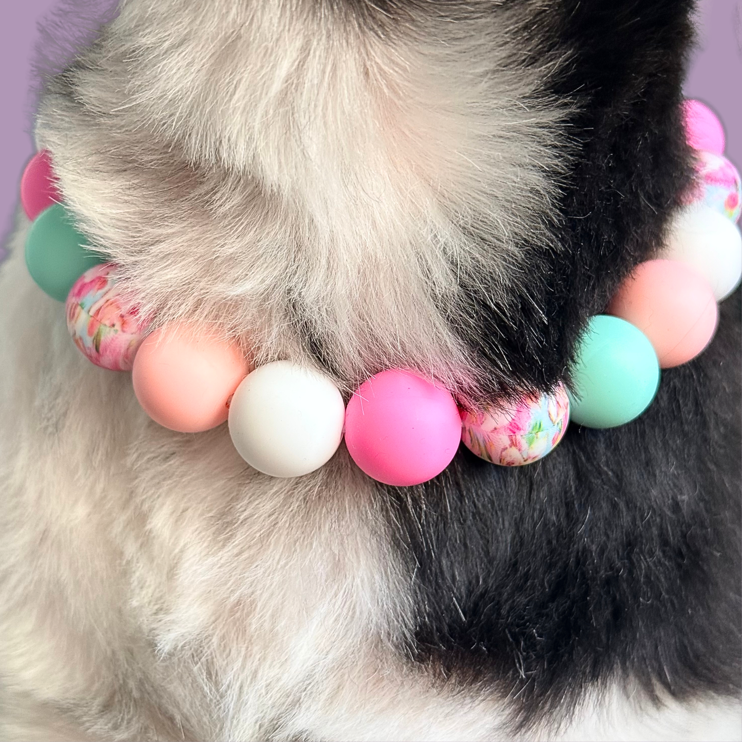 Silicone beaded dog necklace made with 15mm round beads in pink, green, white and a floral flowers print. On a strong, elastic stretch cord. Close-up picture of Bonnie wearing the beads.￼