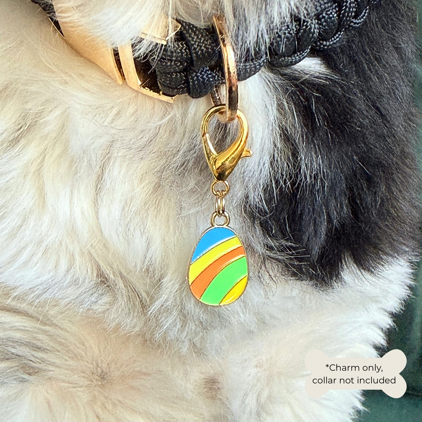Colourful striped Easter egg enamel dog collar charm that easily attaches to collars and harnesses with a gold plated lobster clasp. Pictured close-up being worn by Bonnie.￼