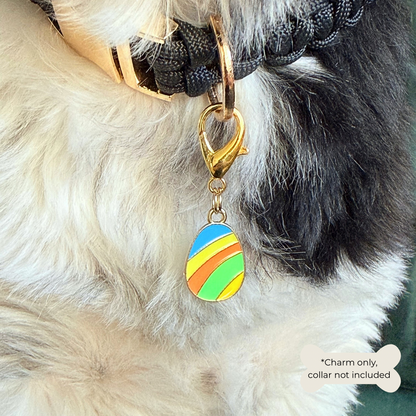 Colourful striped Easter egg enamel dog collar charm that easily attaches to collars and harnesses with a gold plated lobster clasp. Pictured close-up being worn by Bonnie.￼
