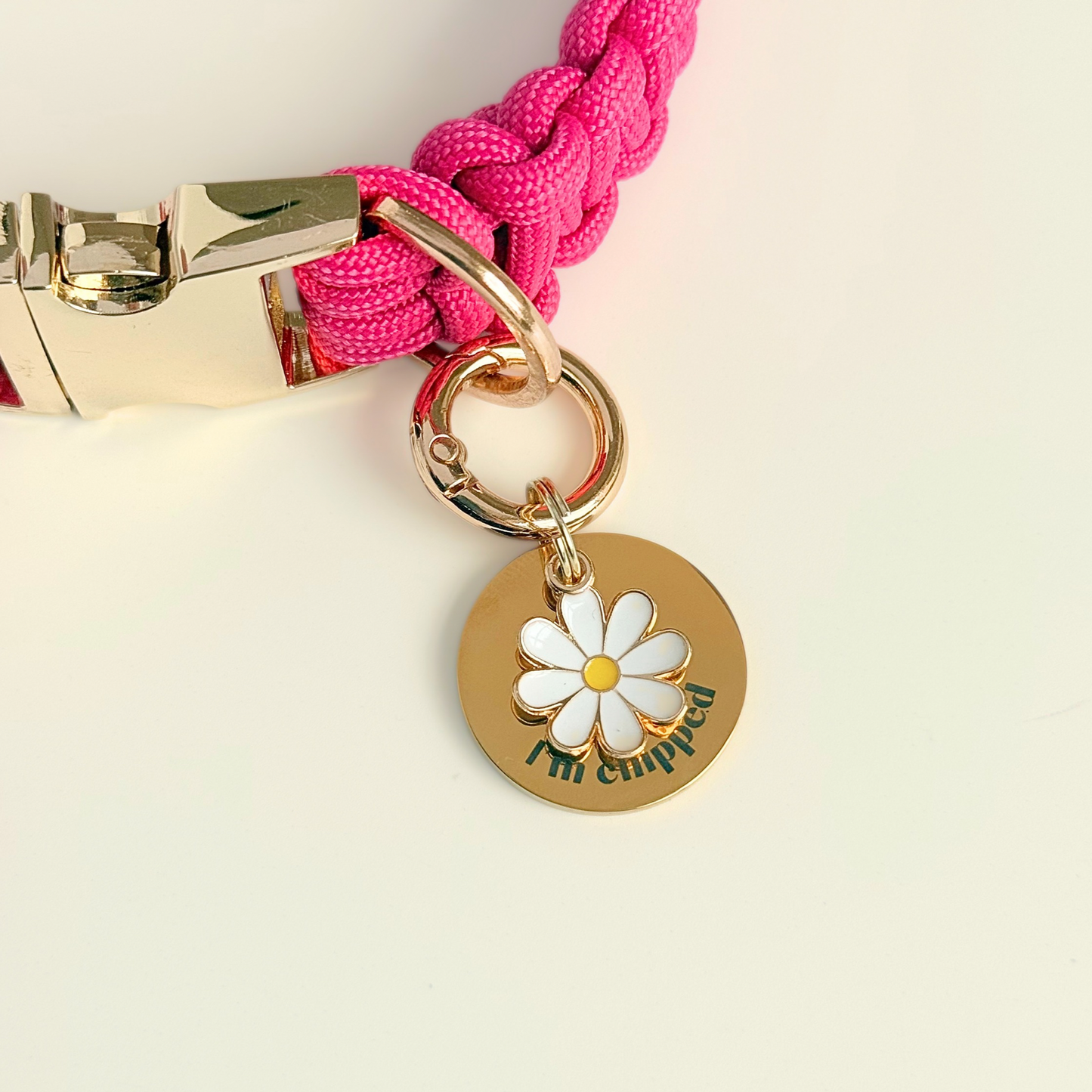 Gold white daisy flower dog collar ID tag, Enamel floral charm with the words ‘I’m chipped’ and address details. easily clips onto collar or harness. Pictured attached to a pink paracord dog collar.