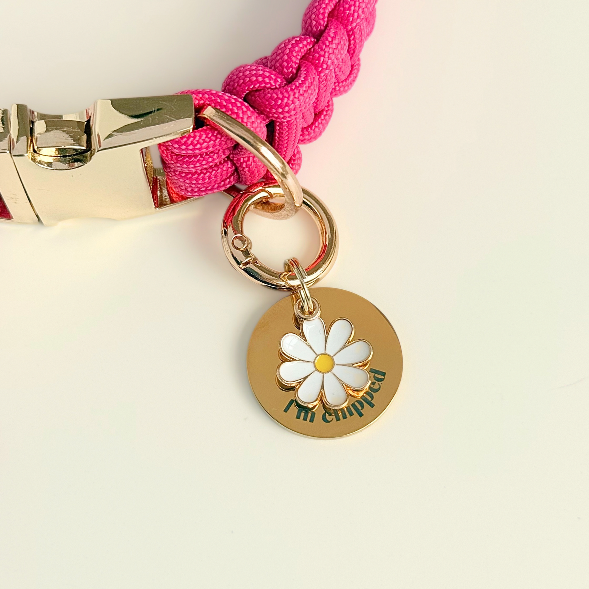 Gold white daisy flower dog collar ID tag, Enamel floral charm with the words ‘I’m chipped’ and address details. easily clips onto collar or harness. Pictured attached to a pink paracord dog collar.