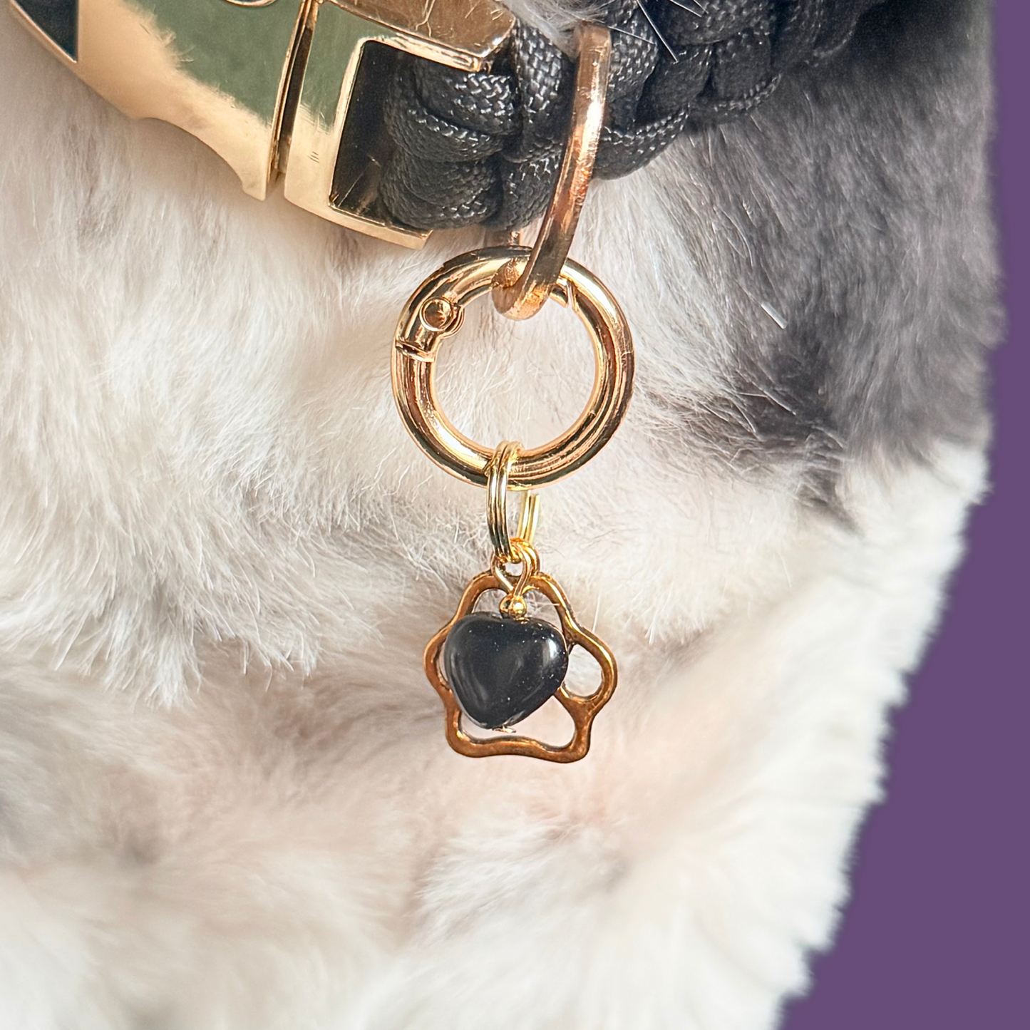 Crystal for dogs pet collar charm featuring a 10mm black onyx heart shaped bead and a brass gold coloured paw print tag. A stone for protection, strength and stability. Pictured close up, worn by Bonnie