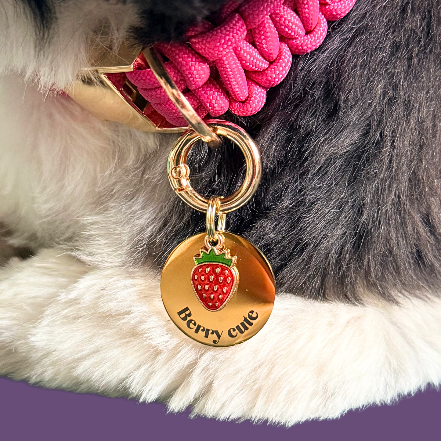 Gold red strawberry dog collar ID tag, Enamel fruit charm with dog name and address details. easily clips onto collar or harness. Close up being worn by Bonnie.