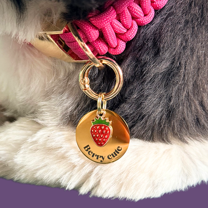 Gold red strawberry dog collar ID tag, Enamel fruit charm with dog name and address details. easily clips onto collar or harness. Close up being worn by Bonnie.