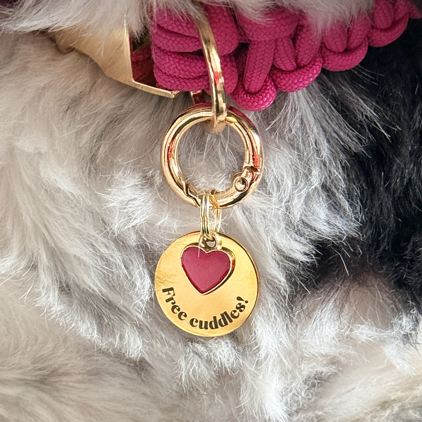 ‘Free Cuddles’ Red Enamel Heart Gold Dog Collar Charm & Engraved ID Tag