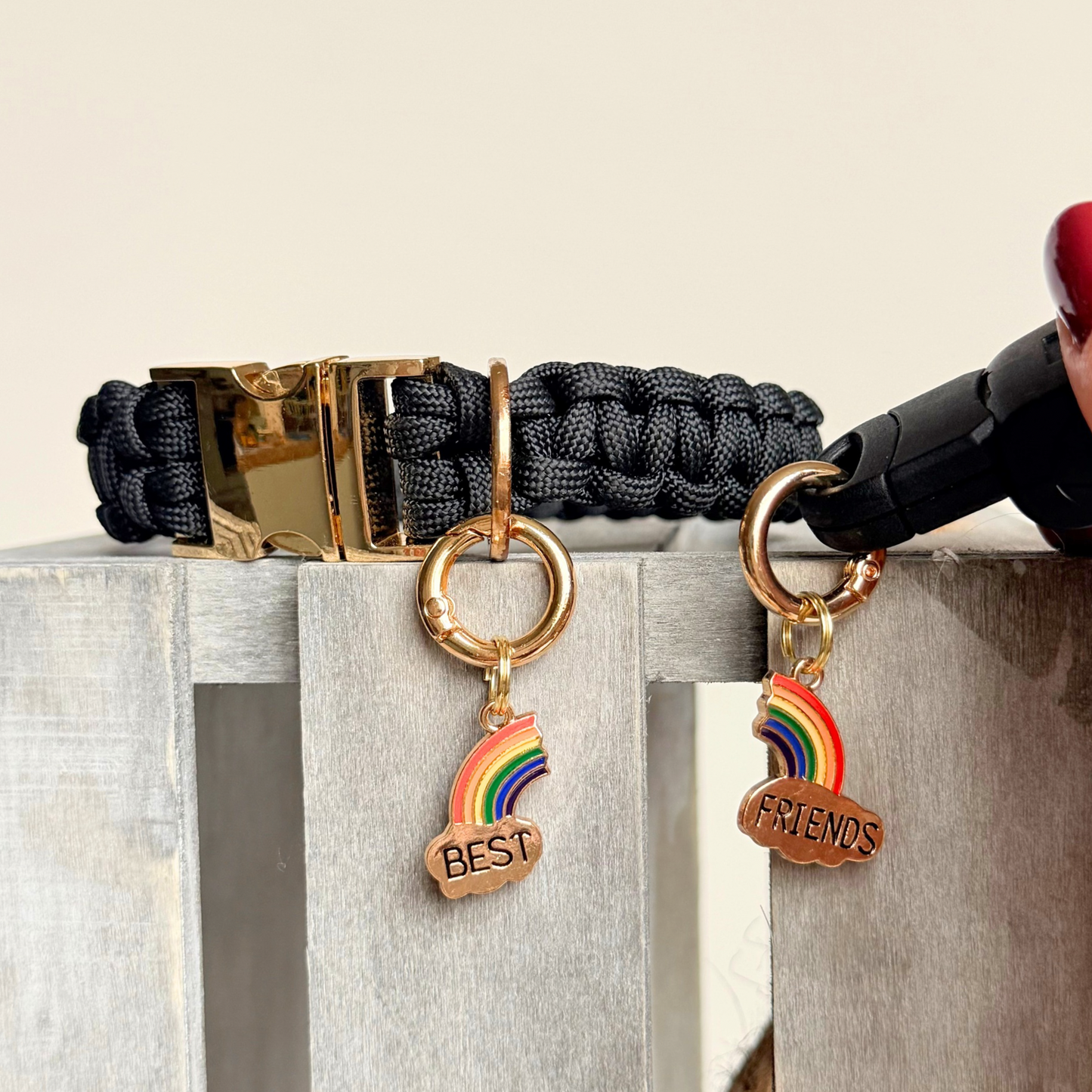 Set of two ‘best friends’ matching dog collar charm and keyring. With enamel rainbow gold plated charms, on secure carabiner style O-rings, for easy use. 