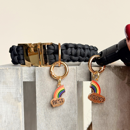 Set of two ‘best friends’ matching dog collar charm and keyring. With enamel rainbow gold plated charms, on secure carabiner style O-rings, for easy use. 