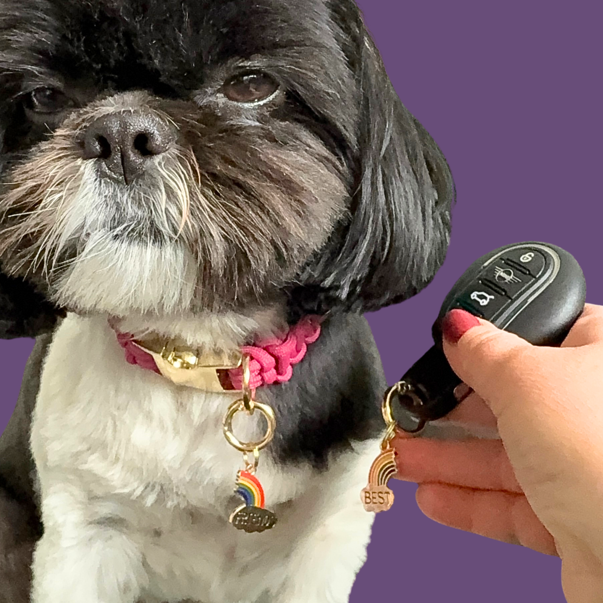 Set of two ‘best friends’ matching dog collar charm and keyring. With enamel rainbow gold plated charms, on secure carabiner style O-rings, for easy use. Pictured with Bonnie wearing one half of the set, the other on my car key.