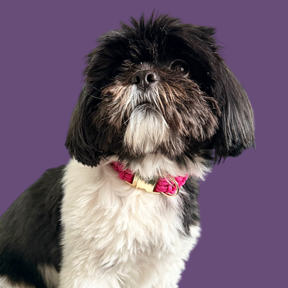 ‘Fuschia Pink’ custom made braided Paracord dog collar with metal buckle
