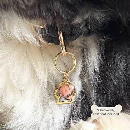 Crystal for dogs pet collar charm featuring a 10mm rhodonite heart shaped bead and a brass gold coloured paw print tag. Close up picture of Bonnie wearing it.