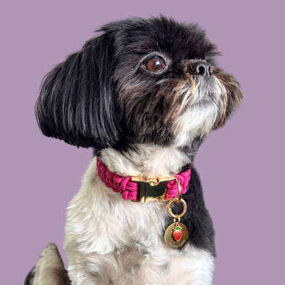 Gold red strawberry dog collar ID tag, Enamel fruit charm with dog name and address details. easily clips onto collar or harness. Pictured being worn by Bonnie.