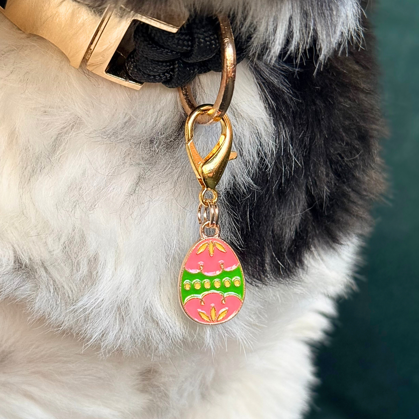 Colourful pink and green patterned Easter egg enamel dog collar charm that easily attaches to collars and harnesses with a gold plated lobster clasp. Close-up picture of it being worn by Bonnie.