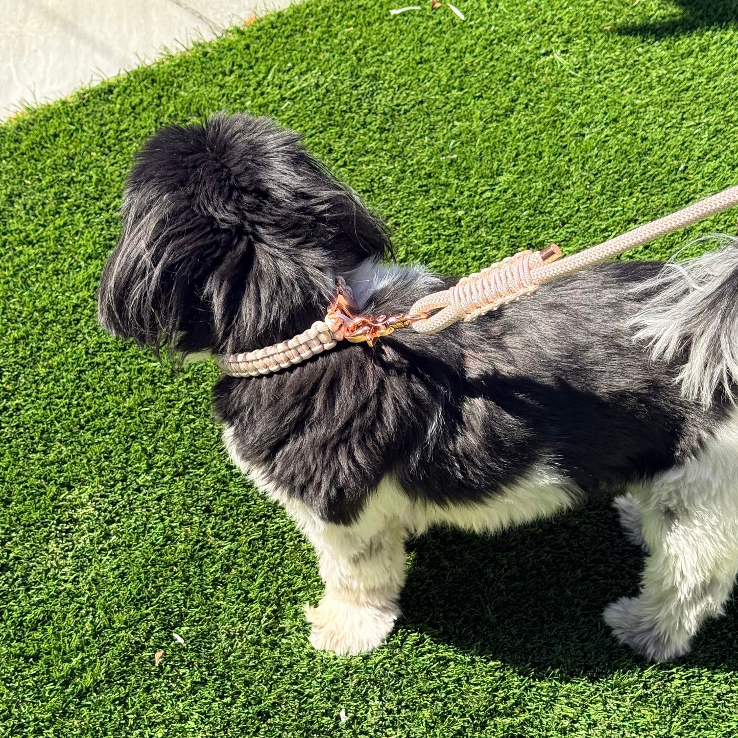 Custom made ‘Pearl Rose’ nylon braided rope dog lead