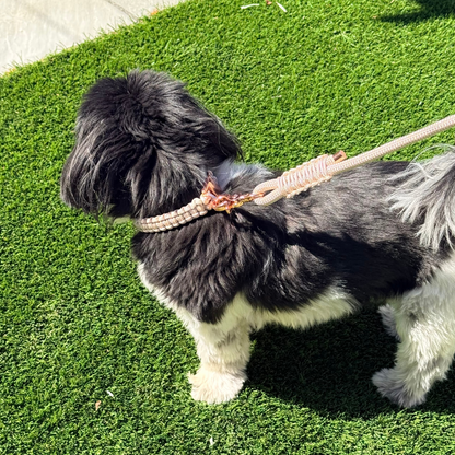 Custom made ‘Pearl Rose’ nylon braided rope dog lead