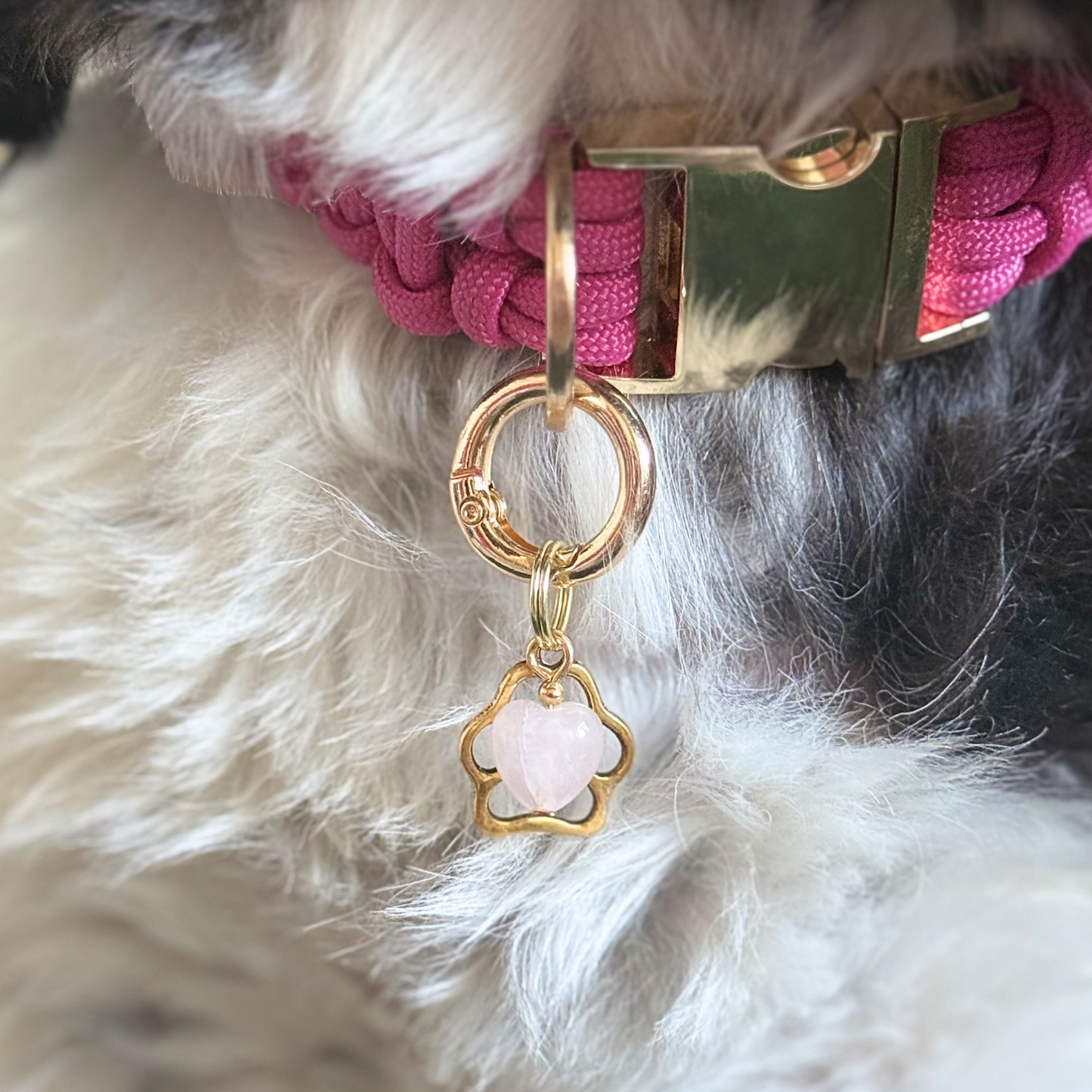 Rose Quartz Heart and Gold Paw Print Crystal Dog Collar Charm