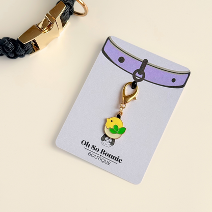 Enamel and gold plated hatching yellow chick dog collar charm. Easy to clip onto collars with a lobster clasp. Pictured on the display card next to a black paracord collar.￼