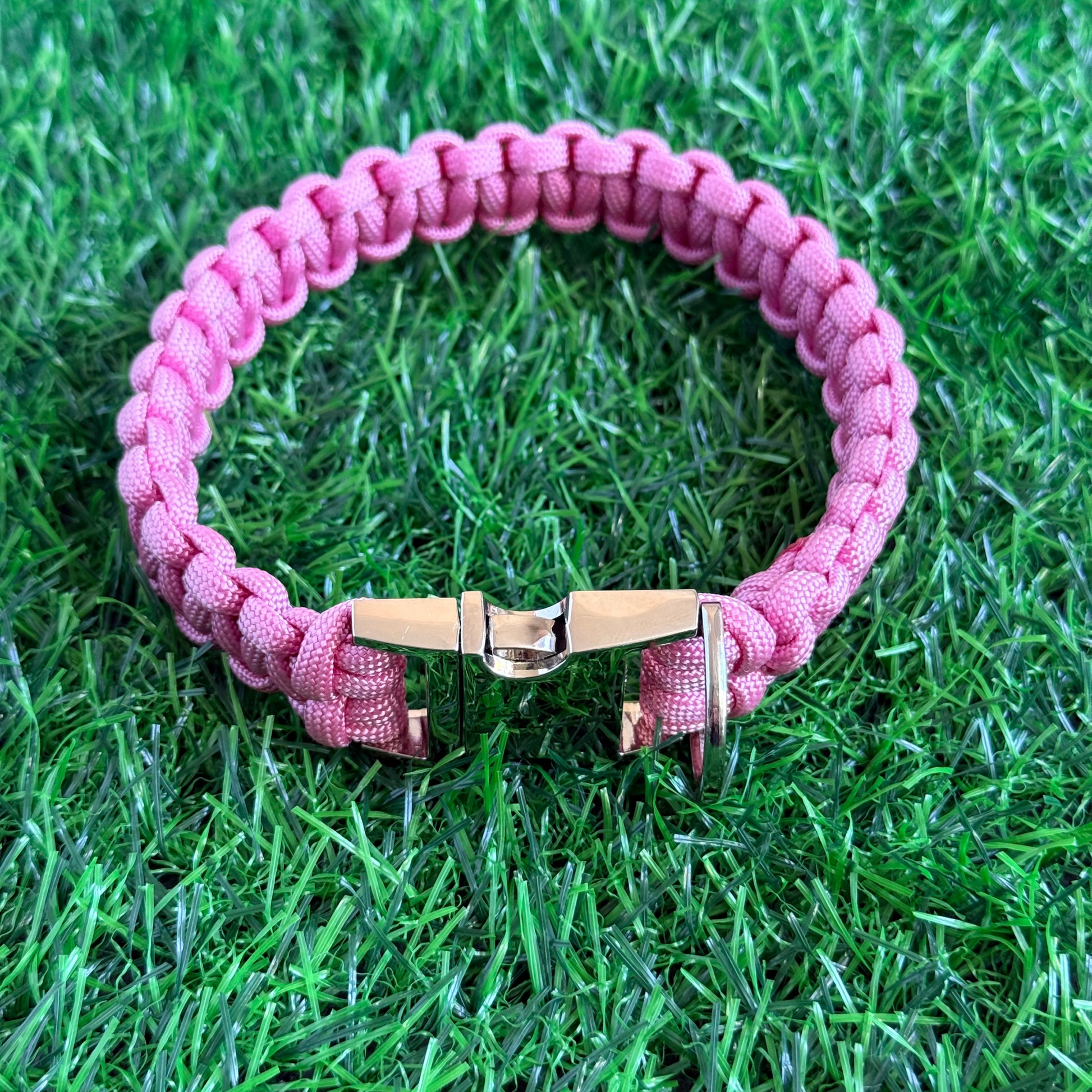 ‘Lavender pink’ handmade paracord dog collar with silver coloured buckle clasp. Custom made to your required size. Braided macrame style pet neckwear. Pictured in on the lawn.