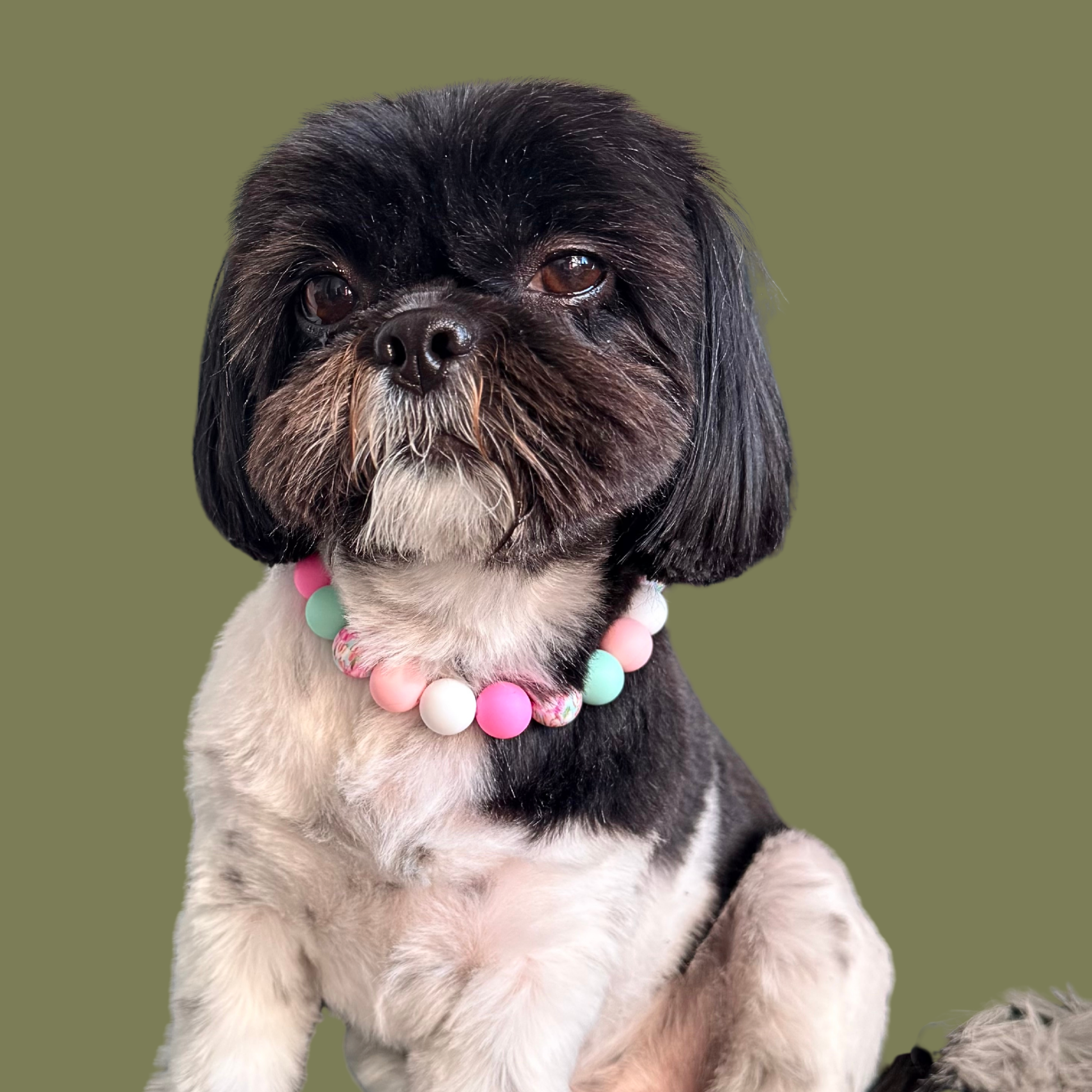 Silicone beaded dog necklace made with 15mm round beads in pink, green, white and a floral flowers print. On a strong, elastic stretch cord. Pictured being worn by Bonnie.￼