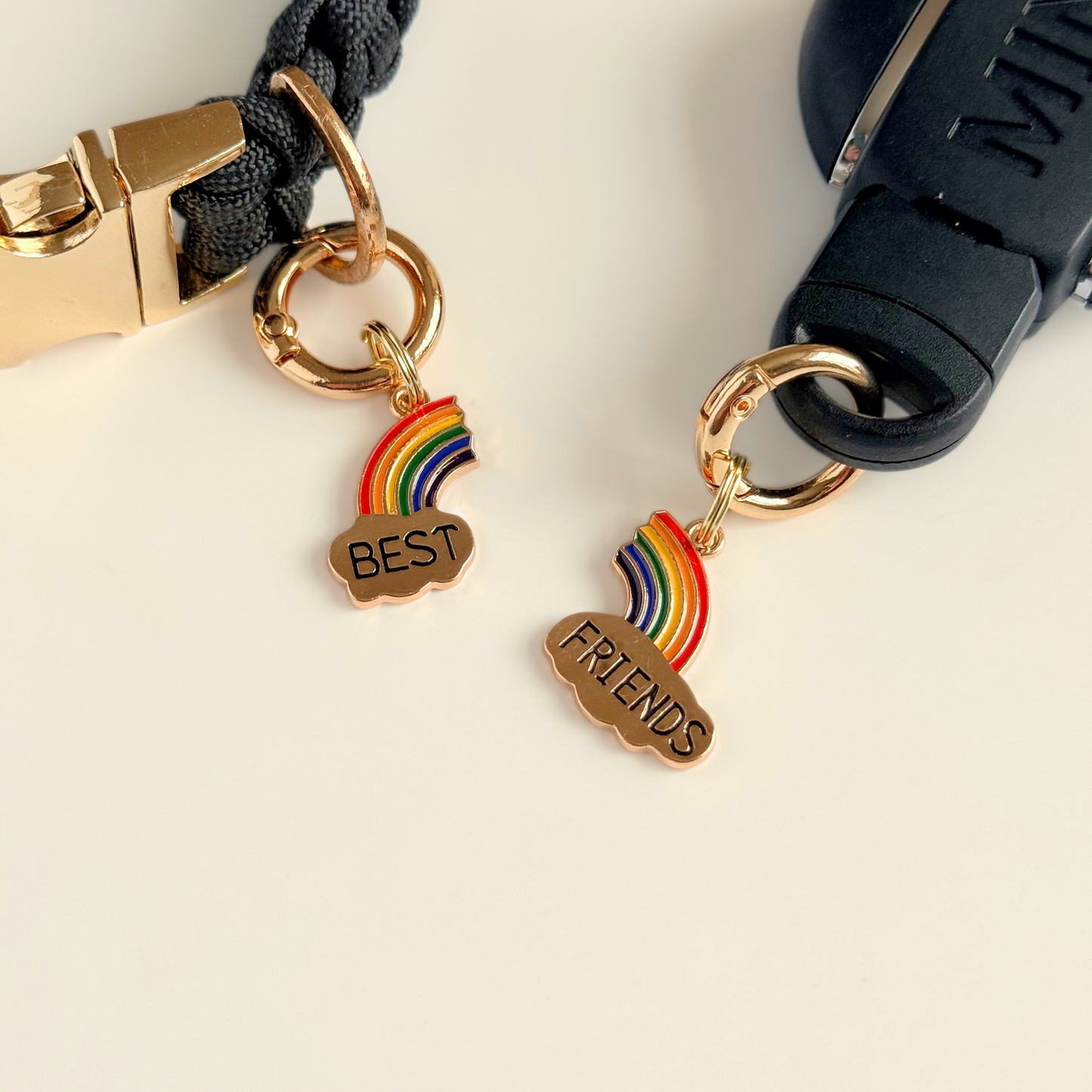 Set of two ‘best friends’ matching dog collar charm and keyring. With enamel rainbow gold plated charms, on secure carabiner style O-rings, for easy use. Pictured against a cream background.
