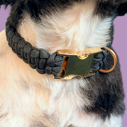 Black custom made braided Paracord dog collar with metal buckle
