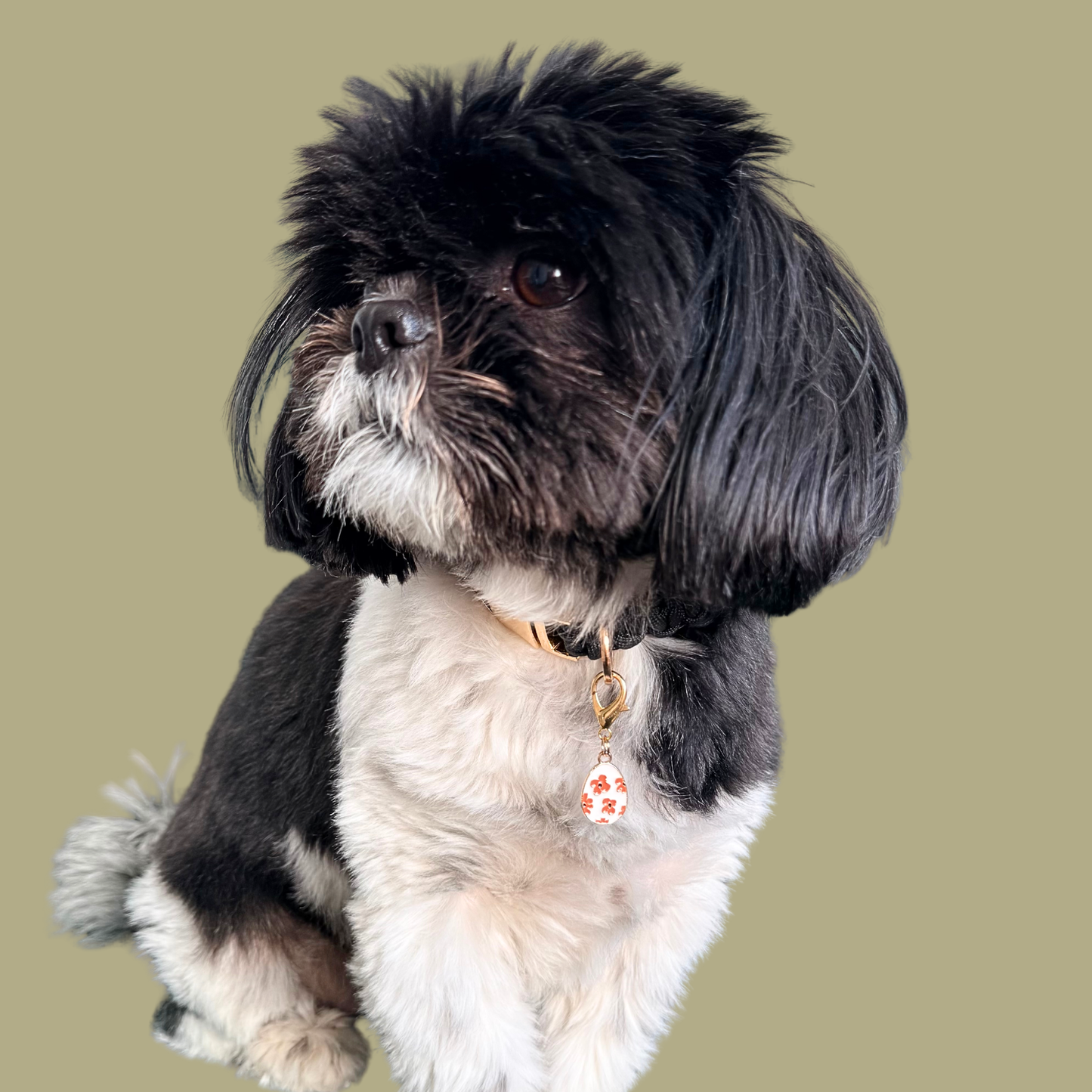 White with red flowers Easter egg enamel dog collar charm that easily attaches to collars and harnesses with a gold plated lobster clasp. Pictured being modelled by Bonnie.￼