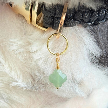 Green aventurine four leaf clover shaped crystal dog collar charm. Crystals for dogs, gemstone for optimism, healing and comfort. Close up picture of it being worn by Bonnie.