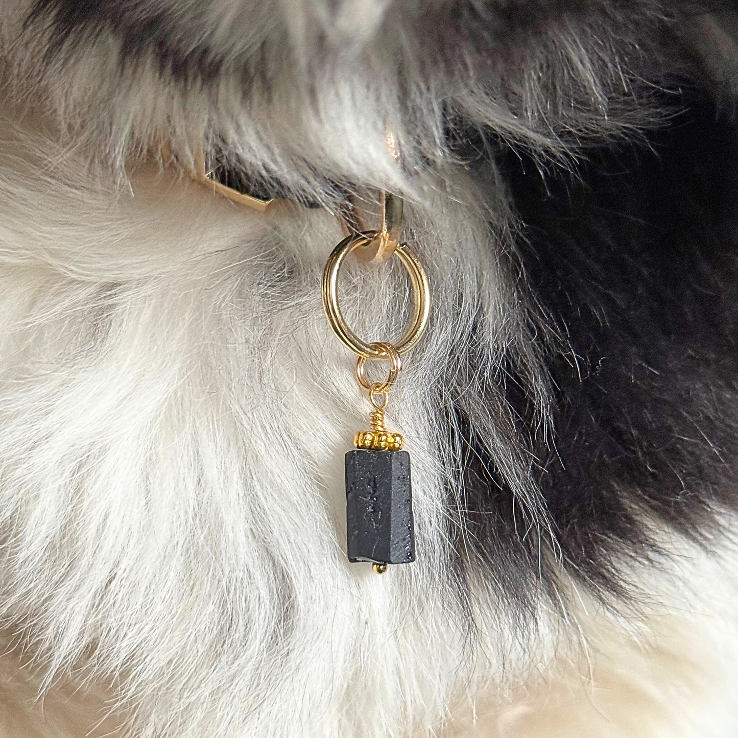 Crystal dog collar charm featuring a raw black tourmaline natural bead with gold plated accents. Featuring a brass split ring for easy attaching to your pet’s collar. Pictured attached to Bonnie’s collar.