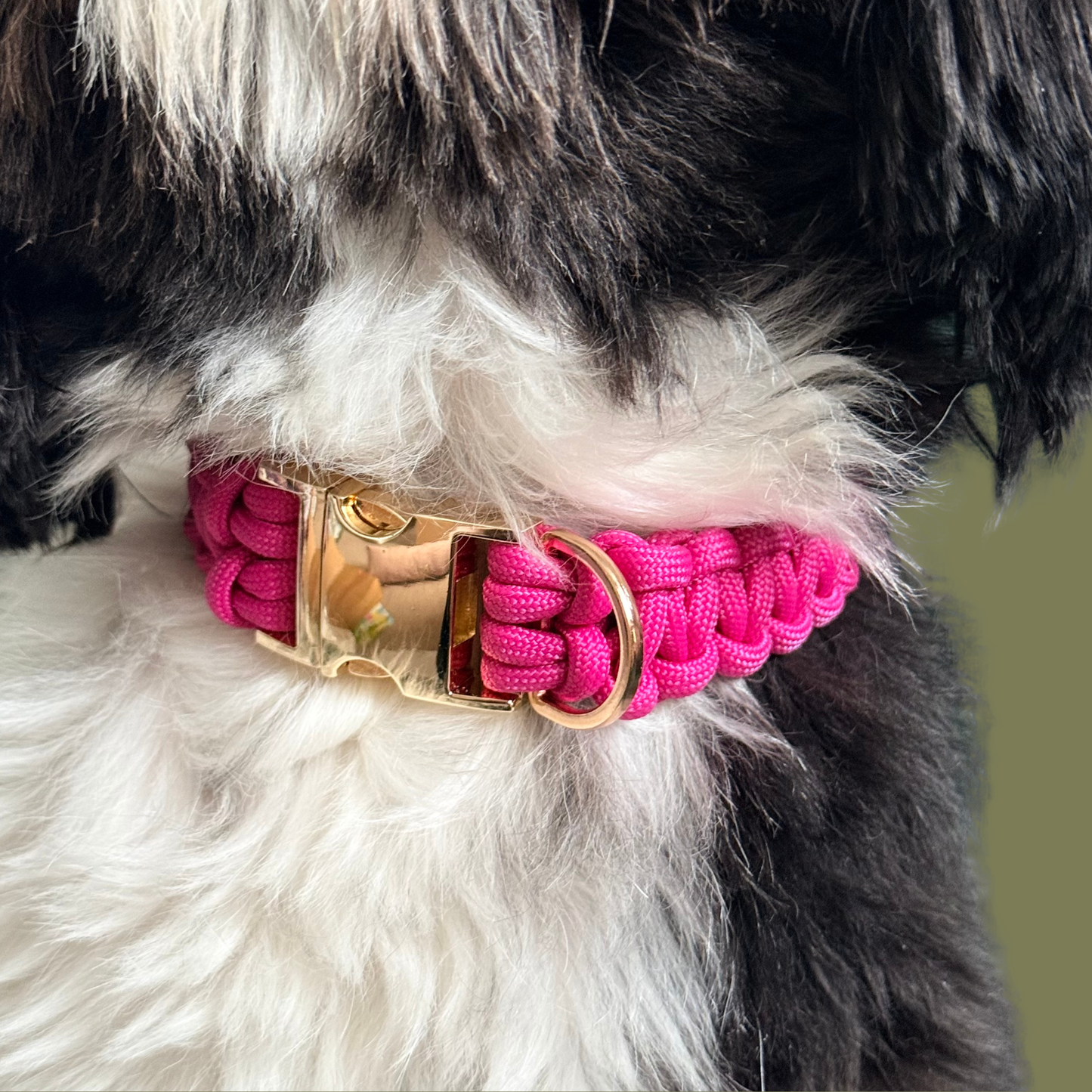 ‘Fuschia Pink’ custom made braided Paracord dog collar with metal buckle