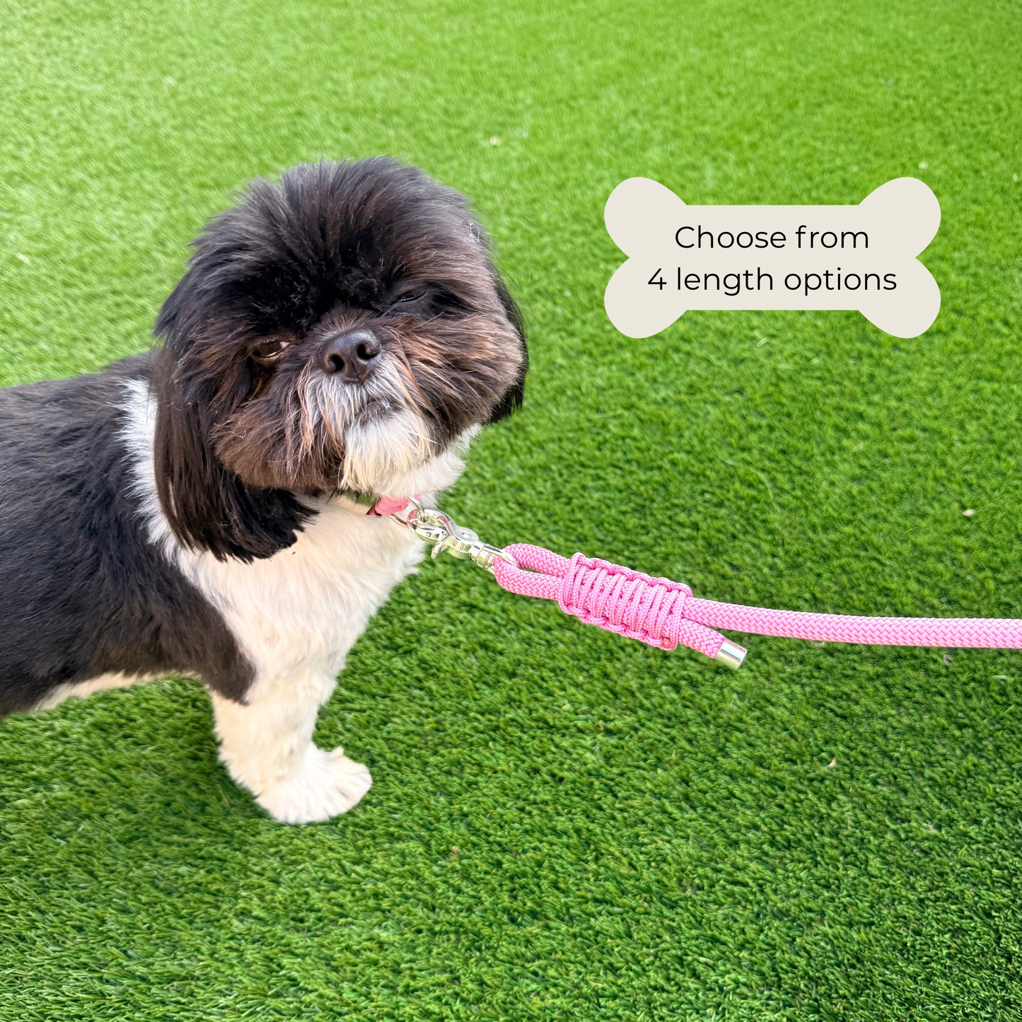 Custom made ‘Lavender Pink’ nylon braided rope dog lead