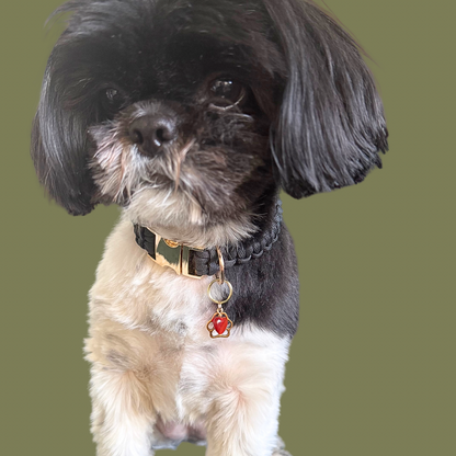 Crystal for dogs pet collar charm featuring a 10mm red carnelian heart shaped bead and a brass gold coloured paw print tag. A stone for confidence, vitality and motivation. Pictured being worn by Bonnie.